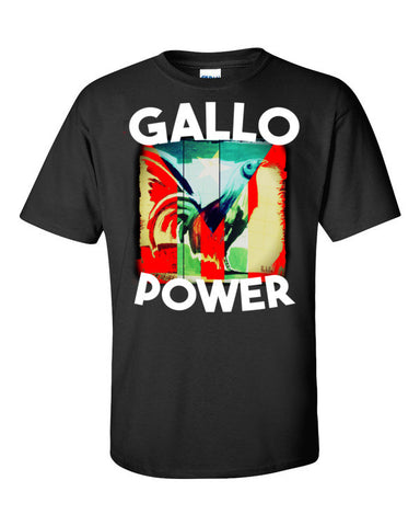 Gallo Power